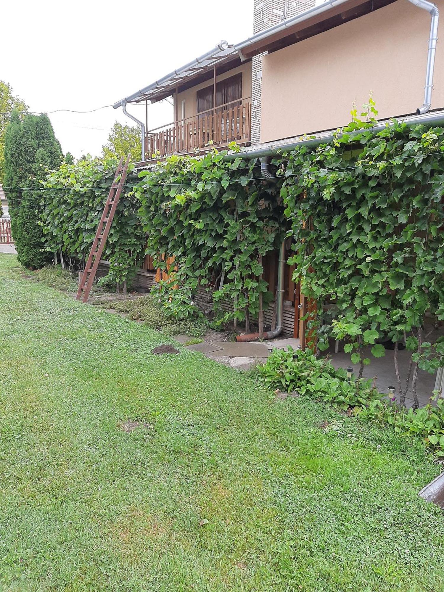 Agancs Vendeghaz Hotel Balatonszemes Luaran gambar